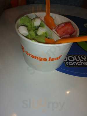 Orange Leaf Frozen Yogurt