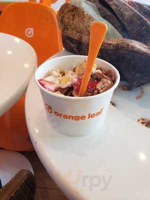 Orange Leaf Frozen Yogurt