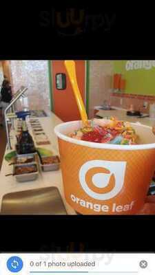 Orange Leaf Frozen Yogurt