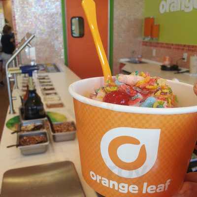 Orange Leaf Frozen Yogurt