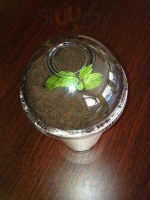 Jackie Bee Boba Express