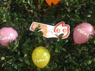 Coco Fresh Tea & Juice