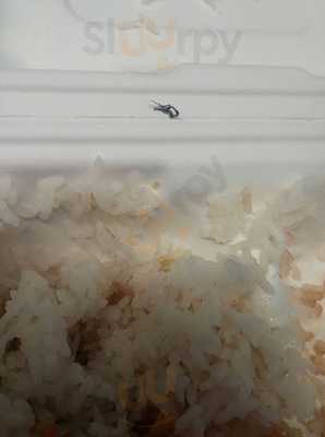 August Moon Chinese Restaurant Downtown