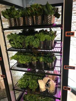 Fiery Hot Pot Buffet