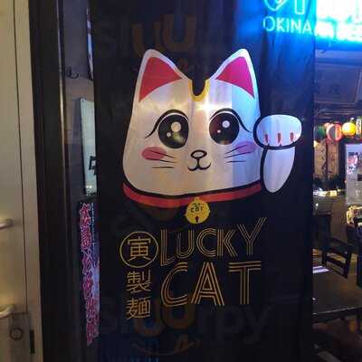 Lucky Cat