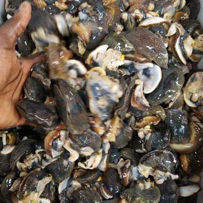 Palava Hut - African Restaurant Nyc