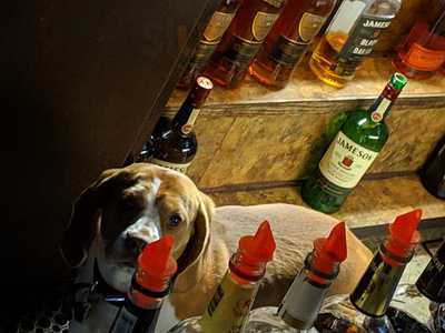 Dubliner Bar West Portal