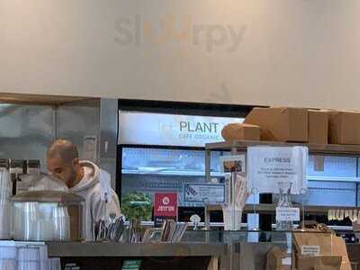 The Plant Cafe Organic - 250 Montgomery