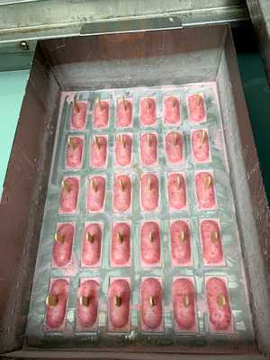 La Flor De Michoacan