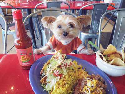 Fuzzy's Taco Shop