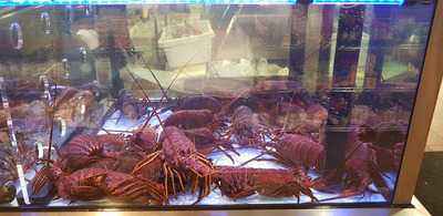 Copacabana Brazillian Cuisine