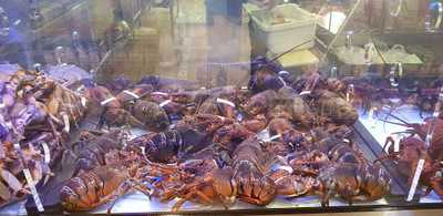 Copacabana Brazillian Cuisine