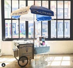 Blue Marble Ice Cream