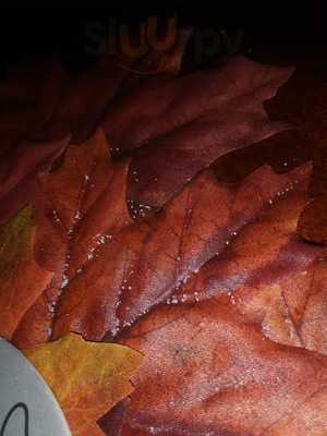 Romano's Pizza Express