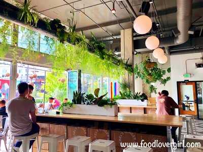 Rachel's Ginger Beer