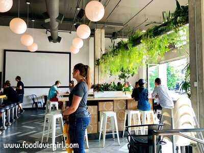 Rachel's Ginger Beer