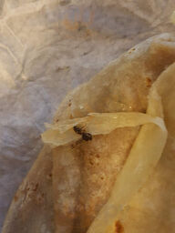 Ah-jijo! Mexican Grill