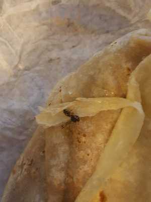 Ah-jijo! Mexican Grill