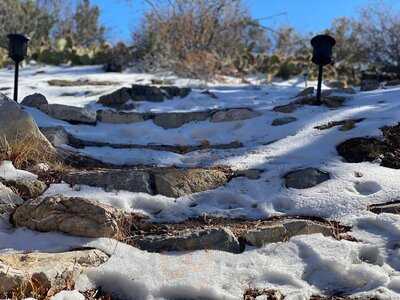 Mountain Springs Saloon