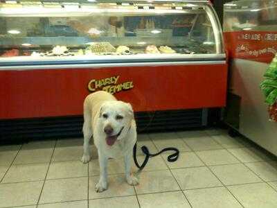 Foto 45325317