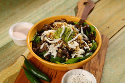 L Taco Mexican Cafe, Bandera Rd.