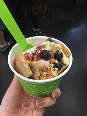 Froyo Chicago