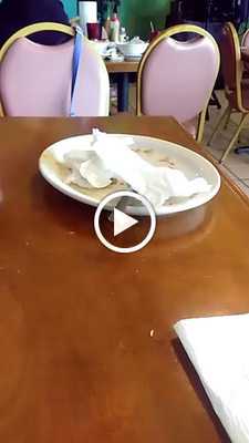 El Manantial Mexican Restaurant