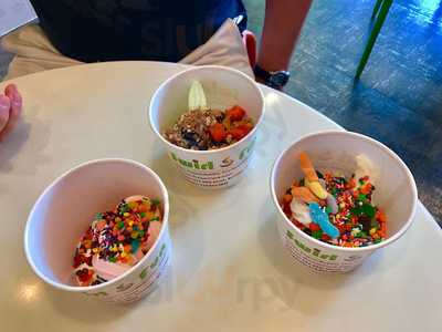 Swirl Fun Frozen Yogurt
