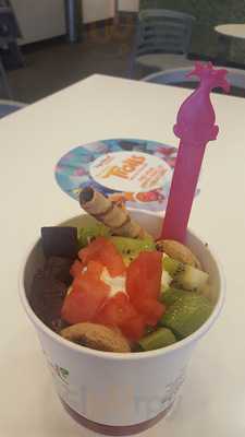 Yogurtland