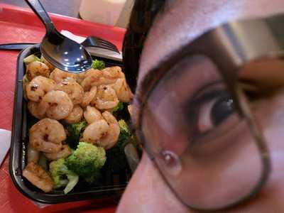 Teriyaki Japan Express Grill