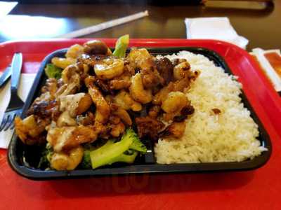Teriyaki Japan Express Grill