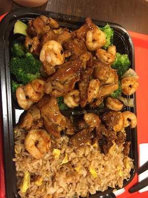 Teriyaki Japan Express Grill