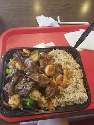 Teriyaki Japan Express Grill