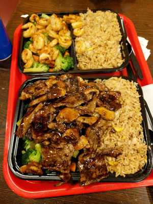 Teriyaki Japan Express Grill