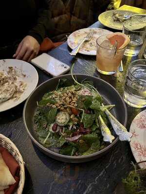 Beatnik On The River