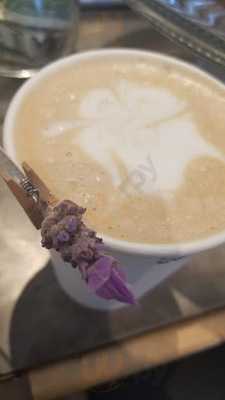 Mission Blue Coffeehouse