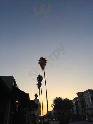 Foto 58810581