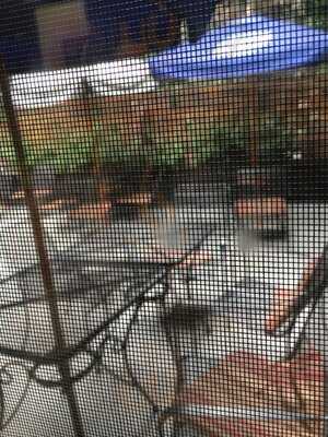 Garlic New York Pizza Bar