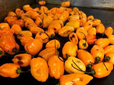 Otay Border Grill And Bar