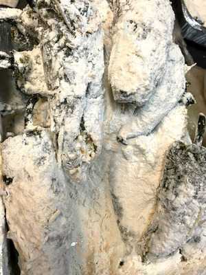 Otay Border Grill And Bar