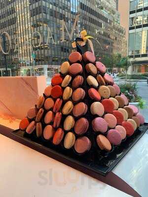 Macaron Cafe