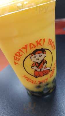 Teriyaki Boy Healthy Grill