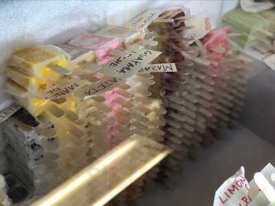 Taqueria El Charro I