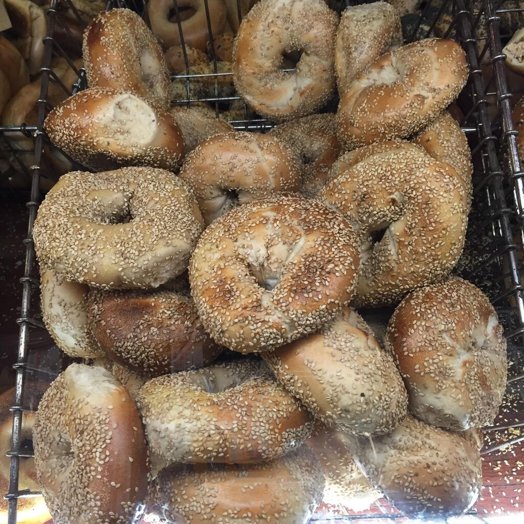 Tal Bagels