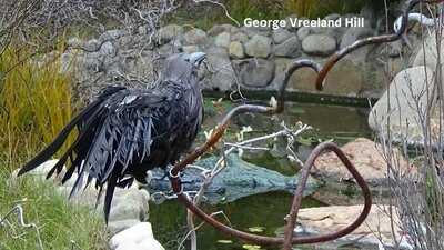 The Spadena House Aka The Witch's House