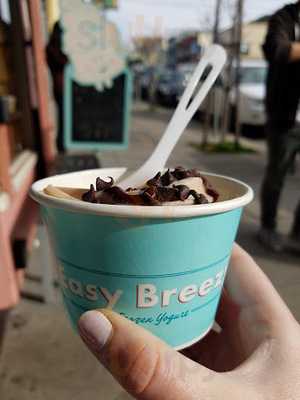 Easy Breezy Frozen Yogurt