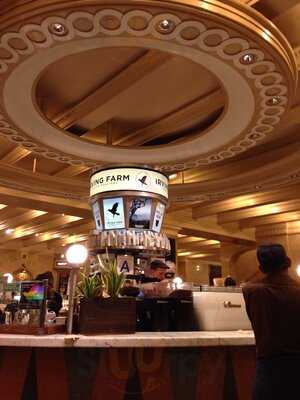 Irving Farm Coffee Roasters