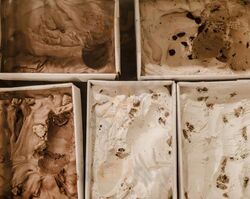 The Evergreen Ice Cream Company