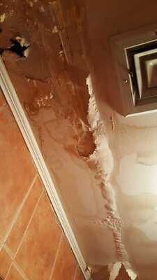 Pars Grill House And Bar