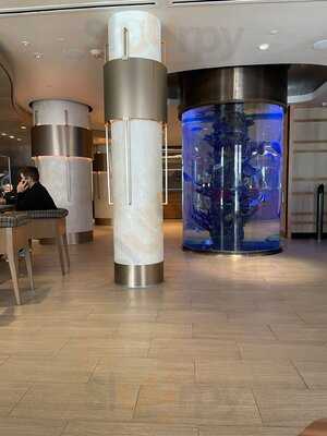 The Bar At Dream New York